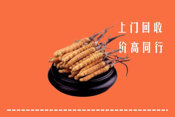 高价求购：儋州回收散虫草