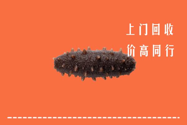 高价求购：儋州回收海参