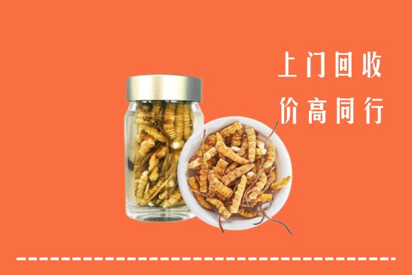 儋州回收冬虫夏草