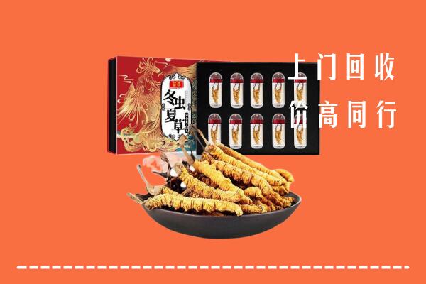 儋州高价回收虫草